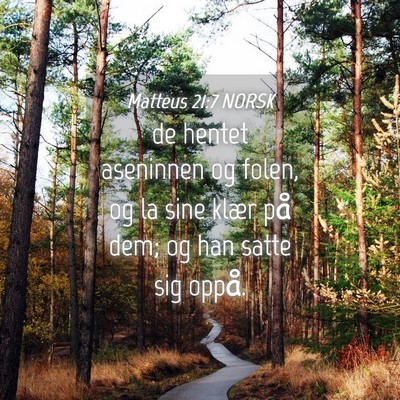 Picture 04 - Matteus 21:7 NORSK - de hentet aseninnen og folen, og la sine klær - Bible Verse Picture