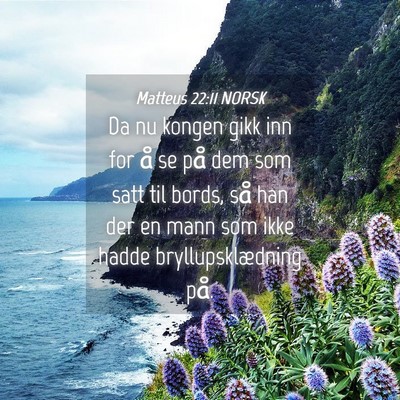 Picture 04 - Matteus 22:11 NORSK - Da nu kongen gikk inn for å se på dem som satt - Bible Verse Picture