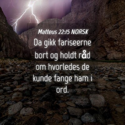 Picture 04 - Matteus 22:15 NORSK - Da gikk fariseerne bort og holdt råd om - Bible Verse Picture