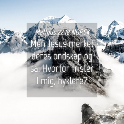 Picture 04 - Matteus 22:18 NORSK - Men Jesus merket deres ondskap og sa: Hvorfor - Bible Verse Picture