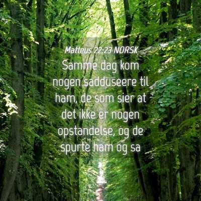 Picture 04 - Matteus 22:23 NORSK - Samme dag kom nogen sadduseere til ham, de som - Bible Verse Picture