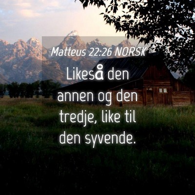 Picture 04 - Matteus 22:26 NORSK - Likeså den annen og den tredje, like til den - Bible Verse Picture