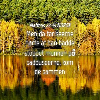 Picture 04 - Matteus 22:34 NORSK - Men da fariseerne hørte at han hadde stoppet - Bible Verse Picture