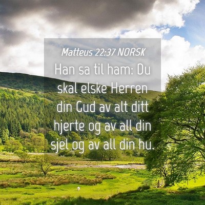 Picture 04 - Matteus 22:37 NORSK - Han sa til ham: Du skal elske Herren din Gud av - Bible Verse Picture