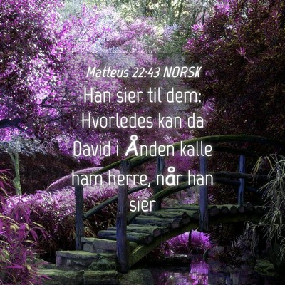 Picture 04 - Matteus 22:43 NORSK - Han sier til dem: Hvorledes kan da David i Ånden - Bible Verse Picture