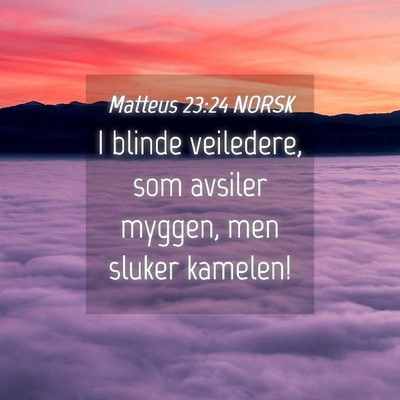 Picture 04 - Matteus 23:24 NORSK - I blinde veiledere, som avsiler myggen, men - Bible Verse Picture