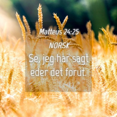 Picture 04 - Matteus 24:25 NORSK - Se, jeg har sagt eder det - Bible Verse Picture