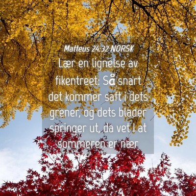 Picture 04 - Matteus 24:32 NORSK - Lær en lignelse av fikentreet: Så snart det - Bible Verse Picture