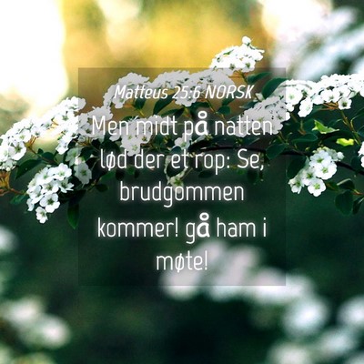 Picture 04 - Matteus 25:6 NORSK - Men midt på natten lød der et rop: Se, - Bible Verse Picture