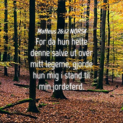 Picture 04 - Matteus 26:12 NORSK - For da hun helte denne salve ut over mitt legeme, - Bible Verse Picture