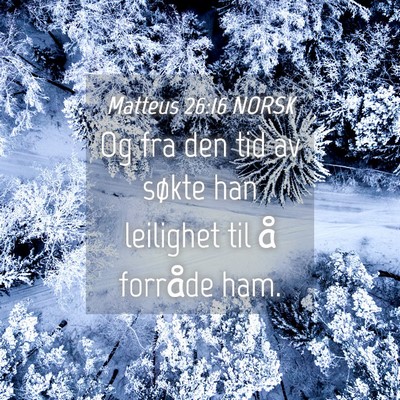 Picture 04 - Matteus 26:16 NORSK - Og fra den tid av søkte han leilighet til å - Bible Verse Picture