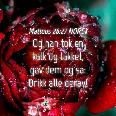 Picture 04 - Matteus 26:27 NORSK - Og han tok en kalk og takket, gav dem og sa: - Bible Verse Picture