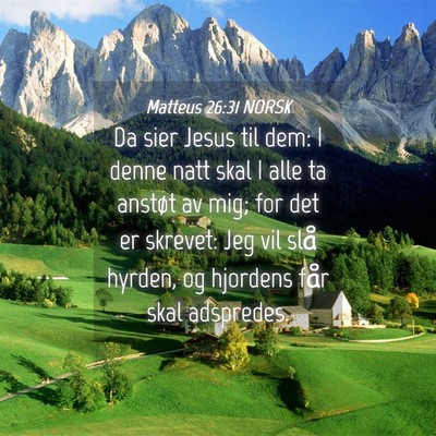 Picture 04 - Matteus 26:31 NORSK - Da sier Jesus til dem: I denne natt skal I alle - Bible Verse Picture