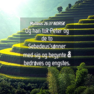 Picture 04 - Matteus 26:37 NORSK - Og han tok Peter og de to Sebedeus'sønner med - Bible Verse Picture