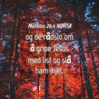 Picture 04 - Matteus 26:4 NORSK - og de rådslo om å gripe Jesus med list og slå - Bible Verse Picture
