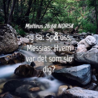 Picture 04 - Matteus 26:68 NORSK - og sa: Spå oss, Messias: Hvem var det som slo - Bible Verse Picture