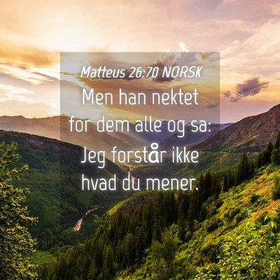 Picture 04 - Matteus 26:70 NORSK - Men han nektet for dem alle og sa: Jeg forstår - Bible Verse Picture