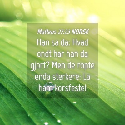 Picture 04 - Matteus 27:23 NORSK - Han sa da: Hvad ondt har han da gjort? Men de - Bible Verse Picture