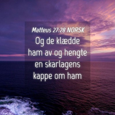 Picture 04 - Matteus 27:28 NORSK - Og de klædde ham av og hengte en skarlagens - Bible Verse Picture