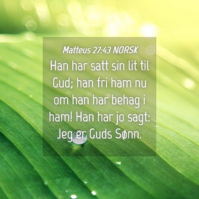 Picture 04 - Matteus 27:43 NORSK - Han har satt sin lit til Gud; han fri ham nu om - Bible Verse Picture