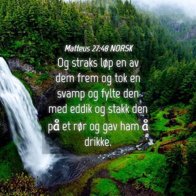 Picture 04 - Matteus 27:48 NORSK - Og straks løp en av dem frem og tok en svamp og - Bible Verse Picture