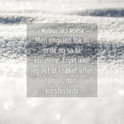 Picture 04 - Matteus 28:5 NORSK - Men engelen tok til orde og sa til kvinnene: - Bible Verse Picture