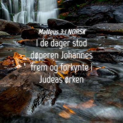 Picture 04 - Matteus 3:1 NORSK - I de dager stod døperen Johannes frem og - Bible Verse Picture