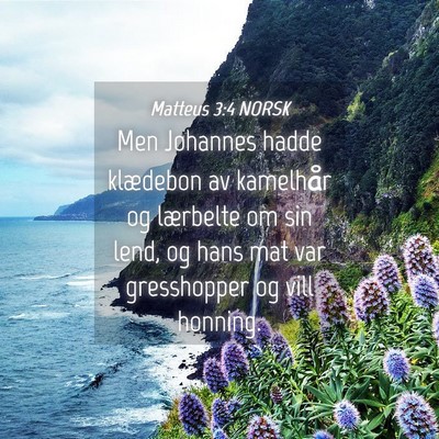Picture 04 - Matteus 3:4 NORSK - Men Johannes hadde klædebon av kamelhår og - Bible Verse Picture