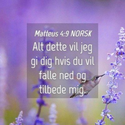 Picture 04 - Matteus 4:9 NORSK - Alt dette vil jeg gi dig hvis du vil falle ned og - Bible Verse Picture