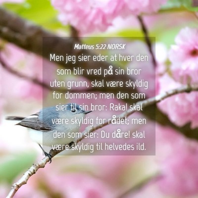 Picture 04 - Matteus 5:22 NORSK - Men jeg sier eder at hver den som blir vred på - Bible Verse Picture