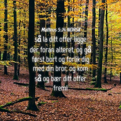 Picture 04 - Matteus 5:24 NORSK - så la ditt offer ligge der foran alteret, og gå - Bible Verse Picture