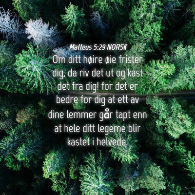 Picture 04 - Matteus 5:29 NORSK - Om ditt høire øie frister dig, da riv det ut og - Bible Verse Picture