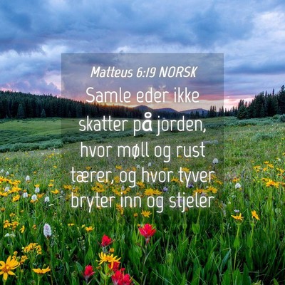 Picture 04 - Matteus 6:19 NORSK - Samle eder ikke skatter på jorden, hvor møll og - Bible Verse Picture