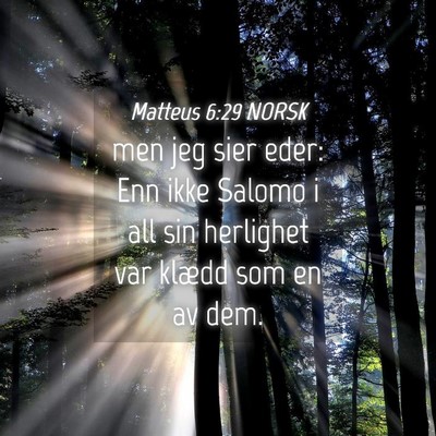 Picture 04 - Matteus 6:29 NORSK - men jeg sier eder: Enn ikke Salomo i all sin - Bible Verse Picture