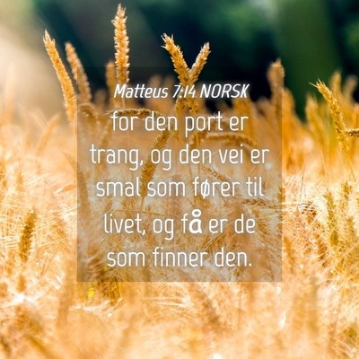 Picture 04 - Matteus 7:14 NORSK - for den port er trang, og den vei er smal som - Bible Verse Picture