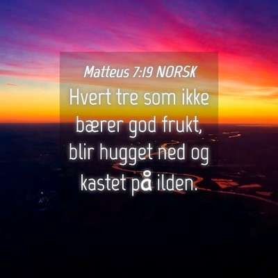 Picture 04 - Matteus 7:19 NORSK - Hvert tre som ikke bærer god frukt, blir hugget - Bible Verse Picture