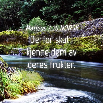 Picture 04 - Matteus 7:20 NORSK - Derfor skal I kjenne dem av deres - Bible Verse Picture