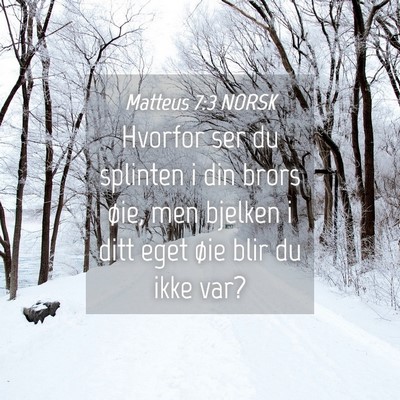 Picture 04 - Matteus 7:3 NORSK - Hvorfor ser du splinten i din brors øie, men - Bible Verse Picture