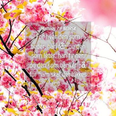 Picture 04 - Matteus 7:8 NORSK - For hver den som beder, han får, og den som - Bible Verse Picture