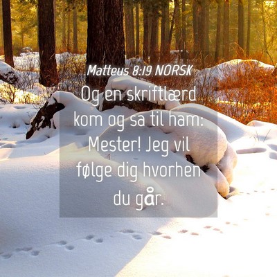 Picture 04 - Matteus 8:19 NORSK - Og en skriftlærd kom og sa til ham: Mester! Jeg - Bible Verse Picture