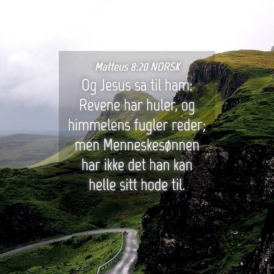Picture 04 - Matteus 8:20 NORSK - Og Jesus sa til ham: Revene har huler, og - Bible Verse Picture