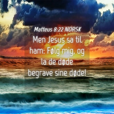 Picture 04 - Matteus 8:22 NORSK - Men Jesus sa til ham: Følg mig, og la de døde - Bible Verse Picture