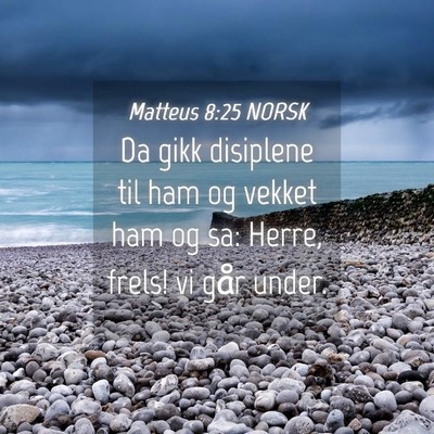 Picture 04 - Matteus 8:25 NORSK - Da gikk disiplene til ham og vekket ham og sa: - Bible Verse Picture