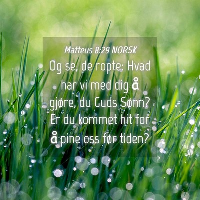 Picture 04 - Matteus 8:29 NORSK - Og se, de ropte: Hvad har vi med dig å gjøre, - Bible Verse Picture