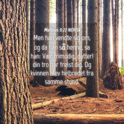Picture 04 - Matteus 9:22 NORSK - Men han vendte sig om, og da han så henne, sa - Bible Verse Picture