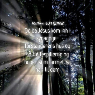 Picture 04 - Matteus 9:23 NORSK - Og da Jesus kom inn i synagoge-forstanderens hus - Bible Verse Picture