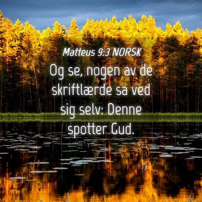 Picture 04 - Matteus 9:3 NORSK - Og se, nogen av de skriftlærde sa ved sig selv: - Bible Verse Picture