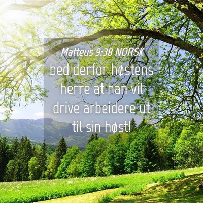 Picture 04 - Matteus 9:38 NORSK - bed derfor høstens herre at han vil drive - Bible Verse Picture