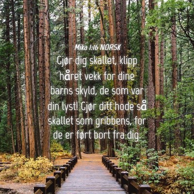 Picture 04 - Mika 1:16 NORSK - Gjør dig skallet, klipp håret vekk for dine - Bible Verse Picture