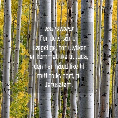 Picture 04 - Mika 1:9 NORSK - For dets sår er ulægelige; for ulykken er - Bible Verse Picture